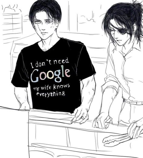 Hanji And Levi, Attack On Titan Series, Attack On Titan 2, Attack On Titan Comic, Aot Characters, Attack On Titan Ships, Captain Levi, Attack On Titan Funny, Air Fighter