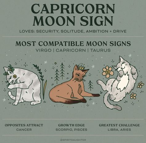 Moon Sign Compatibility, Capricorn Moon Sign, Libra Full Moon, Spirit Daughter, Sign Compatibility, Capricorn Aesthetic, Capricorn Rising, Capricorn And Taurus, Sagittarius Astrology