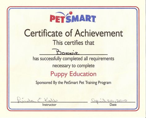 editable dog obedience graduation certificate ~ get dog training advise service dog certificate template samples Dog Certificate, Table Of Contents Template, Photography Gift Certificate Template, Graduation Certificate, Memo Template, Dog Obedience Training, Training Certificate, Folder Templates, Awards Certificates Template