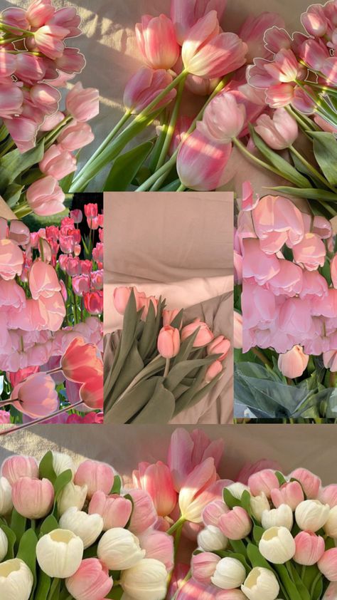 🌸🌸 Tulip Flower Pictures, Roses Collage, Beauty And The Beast Movie, Flower Gift Ideas, Nothing But Flowers, Cute Flower Wallpapers, Pretty Landscapes, Happy Flowers, Iphone Wallpaper Girly