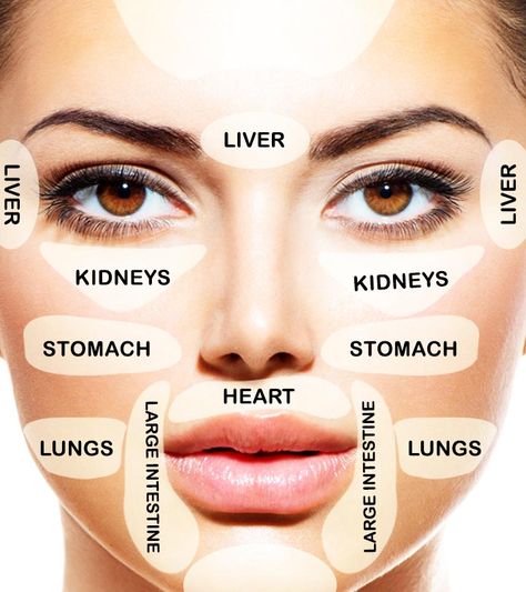 Chinese Face Map Reveals What Part Of Your Body Is Sick And How To Fight It Chinese Face Map, Face Map, Mineral Rich Foods, Chin Acne, Face Mapping Acne, Body Toxins, Face Mapping, Facial Skincare, Acne Causes