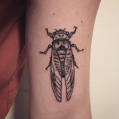 69 Likes, 1 Comments - @pittstain.tattoo on Instagram: “The second of the weekend. A #cicada for @spacemanspiff0 #pittstain #tattoo #blkttt #darkart…” Cicada Tattoo, Stippling Tattoo, Seattle Tattoo, Tattoo Old School, Bug Tattoo, Omerta Tattoo, Tattoo Flash Sheet, Hand Poke, Tattoo Placement