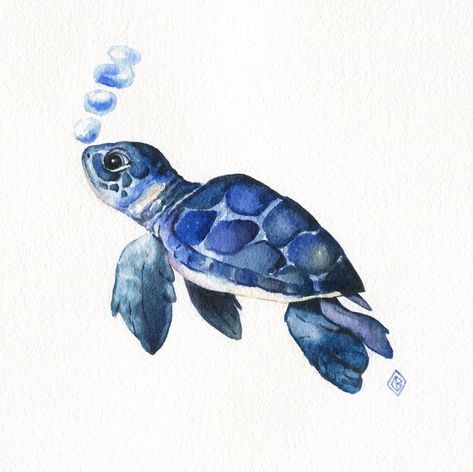 Pfp Ocean, Sea Turtle Watercolor Painting, Sea Turtle Drawing, Notion Ideas, Sea Turtle Watercolor, Sea Turtle Painting, Turtle Watercolor, Baby Sea Turtles, Summer Wallpapers