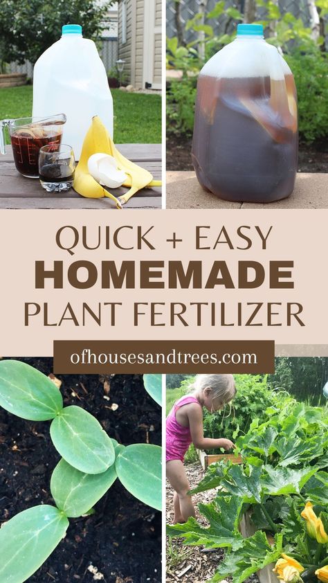 Gardening should be enjoyable - not hard. This easy plant fertilizer recipe will make taking care of your plant babies a whole lot simpler. With just a few ingredients you can find in your kitchen, you can bet your plants will be happy! How To Make Plant Food At Home, How To Make Fertilizer At Home, Homemade Fungicide For Plants, Homemade Fertilizer For Vegetables, Homemade Garden Fertilizer, Natural Garden Fertilizer, Diy Plant Fertilizer How To Make, Home Fertilizer For Plants, Natural Fertilizer For Vegetable Garden