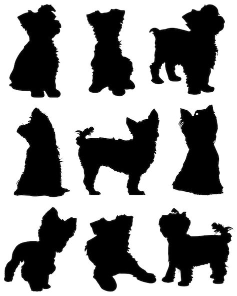 Cricut Joy Projects, Cute Monkeys, Dog Vector, Kittens And Puppies, Cairn Terrier, Dog Silhouette, Cricut Joy, Terrier Dogs, Terrier Dog