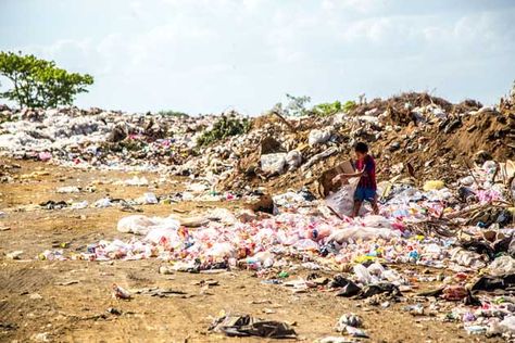 Soil pollution poses a serious threat to our environment, to our sources of food and to our health, says new report by FAO. It's not just oceans being ruined sadly it is ruining our land too and, too often, it is on our productive soils. We are ruining prospects of our future and, even more so, our kids ! Soil Pollution, Plastik Recycling, Human Centered Design, Solid Waste, Waste Free, Plastic Pollution, Plastic Waste, Green Building, Zero Waste