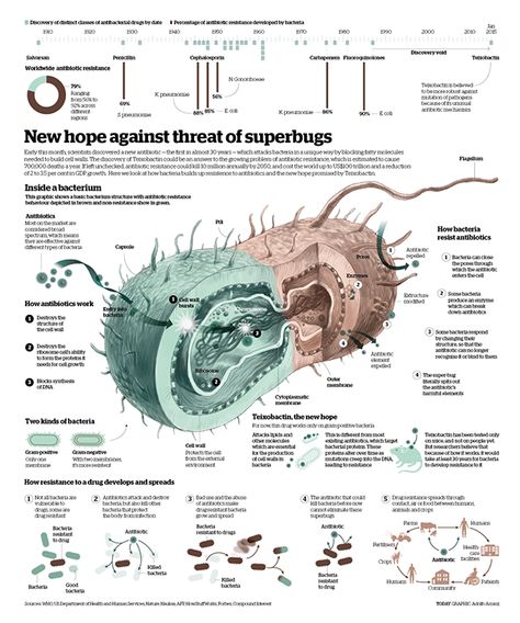 Superbugs on Behance Design For Science, Academic Poster, Scientific Poster, Scientific Thinking, Information Visualization, Data Visualization Design, Science Notes, Data Visualisation, Information Graphics