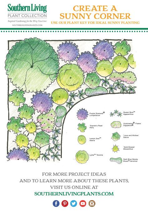 Contrasting textures and forms interact to awaken the senses. A lively planting of yellow- and purple-flowering perennials plays off the colorful foliage. Learn more here: Childrens Garden, Fantasy Gardens, Flower Garden Plans, Veg Patch, Sun Loving Plants, Garden Plan, Beach Garden, Planting Plan, Corner Garden