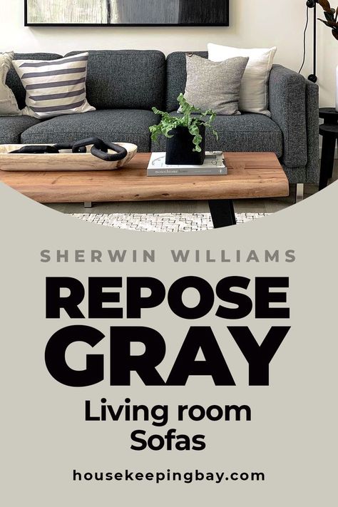 Curtains With Grey Sofa, Repose Gray Living Room, Grey Walls Grey Couch, Grey Floor Tiles Living Room, Repose Gray Paint, Dark Grey Sofa Living Room, Curtains For Grey Walls, Sw Repose Gray, Brown Sofas