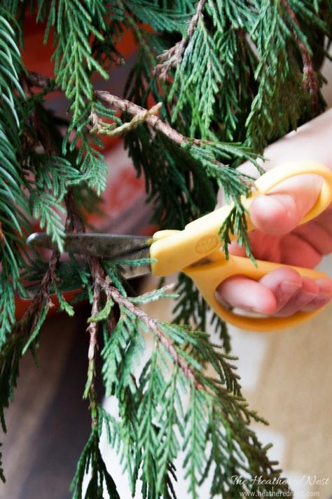 5 Easy DIY ways to Decorate with FREE Christmas Tree Trimmings or Pine Clippings for the Holidays! Don't spend more on decor, when you can use beautiful greenery for free! Diy Garland Ideas, Christmas Tree Trimming, Garland Ideas, Holiday Greenery, The Dazzling, Ideas For Christmas, Festival Diy, Tree Trimming, Diy Garland