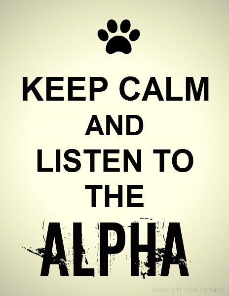 Con Female Wolf, Alpha Wolf, Wolf Quotes, The Alpha, The Words, Keep Calm, A Black, Black And White, Quotes