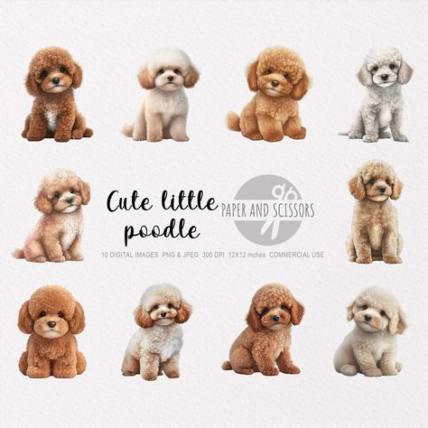 Clipart Pup Parade: Illustrated Dogs Poodle Clipart, Poodle Illustration, Animal Caricature, Puppy Portraits, Illustration Dog, Cartoon Crazy, Dog Clipart, 강아지 그림, Cat Clipart