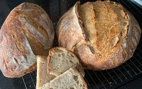 King Arthur Baking Sourdough Bread: Pain au Levain - Abigail's Oven Easy No Knead Bread, Rosemary Garlic Bread, Attainable Sustainable, King Arthur Flour Recipes, Gluten Free Sourdough Bread, King Arthur Gluten Free, Rosemary Bread, Gluten Free Sourdough, Sourdough Starter Recipe