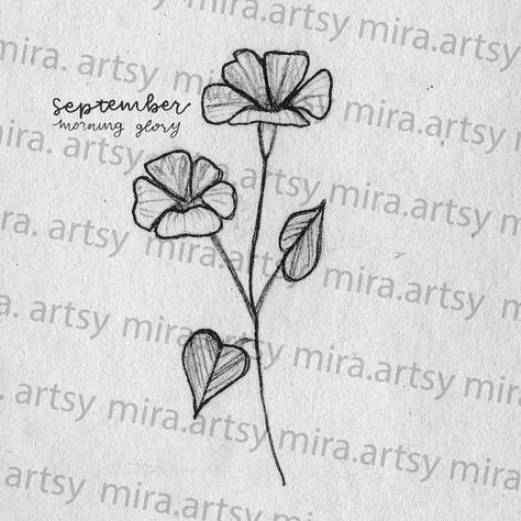 Aster And Morning Glory, Aster Tattoo, September Birth Month, Morning Glory Tattoo, Be Still Tattoo, Flower Bouquet Drawing, September Birth Flower, September Flowers, Blue Tattoo