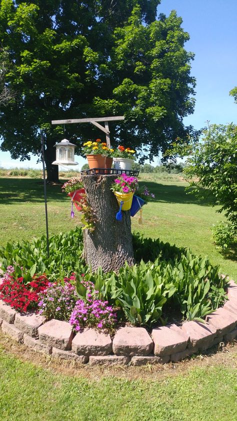 Tree Stump Garden, Stump Garden, Tree Stump Decor, Tree Stump Planter, Bird Houses Ideas Diy, Types Of Succulents, Garden Decor Ideas, Garden Containers, Home Landscaping