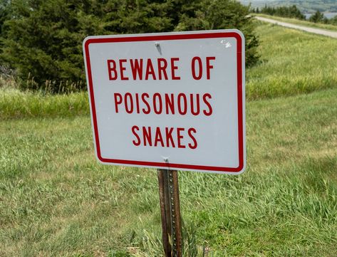 Snakes in the Grass: Don’t Buy Internet from Fido or Virgin Snakes In The Grass, Poisonous Snakes, Snake In The Grass, Break The Rules, Internet Providers, Food Chain, The Grass, Snakes, The Rules