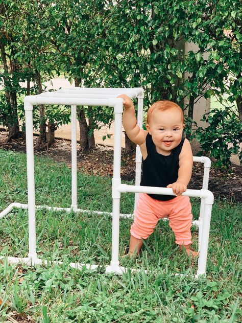 How to Build a PVC Jungle Gym For Your Baby Pvc Puppy Play Gym, Diy Baby Gym, Baby Wise, Gym Bar, Pvc Pipes, Jungle Gym, Play Gym, Puppy Play, Baby Gym