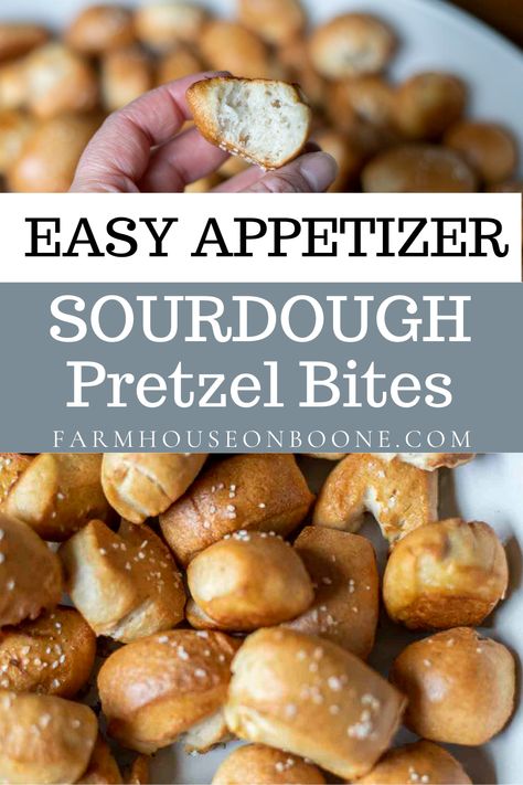 Sourdough Soft Pretzel Recipe, Sourdough Pretzel Bites, Sourdough Pretzel Recipe, Sourdough Pretzel, Pretzel Bites Recipes, Recipe Using Sourdough Starter, Soft Pretzel Recipe, Sourdough Starter Discard Recipe, Bagel Bites