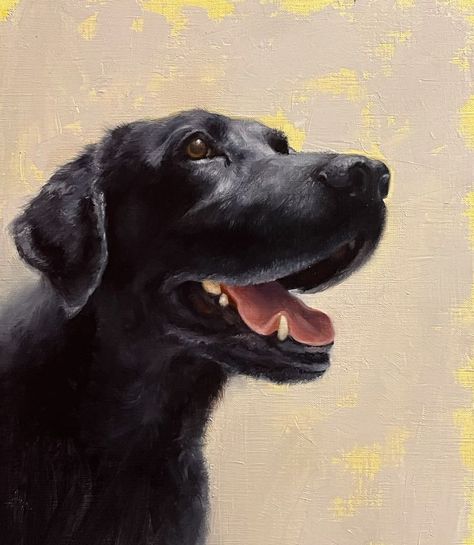 Angel: Black labrador, oil on cangas Cats Portraits, Virtual Art, Black Labrador, Dog Paintings, Black Dog, Caricatures, Dogs Cats, Painting Oil, Dog Art