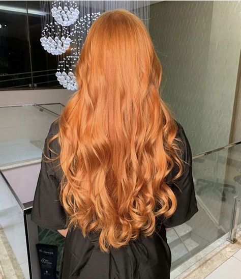 Long Ginger Hair Aesthetic, Shades Of Ginger Hair, Shades Of Orange Hair, Light Ginger Hair Strawberry Blonde, Golden Orange Hair, Orange Ginger Hair, Long Auburn Hair, Natural Red Hair, Red Hair Inspo