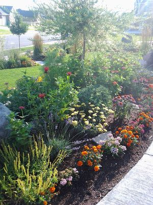 Successful companion planting (what to plant next to each other). Utah Plants, Suburban Farm, Companion Gardening, Bad Bugs, Edible Gardening, Bee Balm, Garden Club, Raised Bed, Deep Water