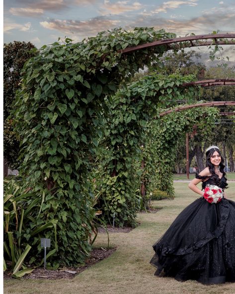 ✨Azul’s Quinceañera Portraits✨ Here’s a glimpse of some of the beautiful images captured of Azul’s Quince celebration 🥳 Outdoor portraits taken at The Rose Garden in Farmers Branch Venue: @luxorbanquethall Dress: @eleganciaformalwear Tiara: @feggys_crowns . . . #quinceglam #quinceinspo #dallasquinceaneraphotographers #quincedress #quince Quince Dress, Outdoor Portraits, Rose Garden, The Rose, Quince, Quinceanera, Beautiful Images, Tiara, Crown