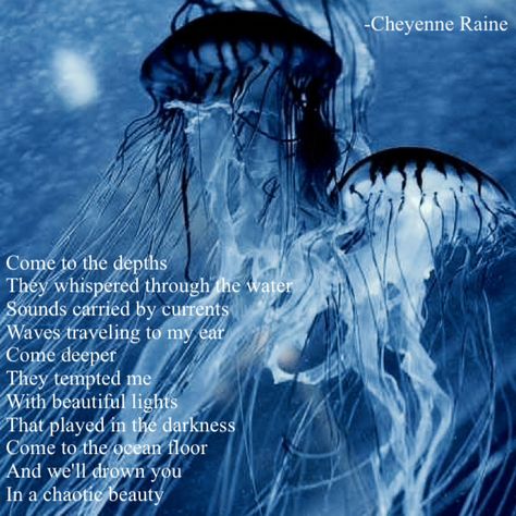 Jellyfish ocean fish sea poem poetry Creature Marine, Fauna Marina, Under The Water, Underwater Life, Water Life, Deep Blue Sea, Ocean Creatures, Feeling Blue, Love Blue