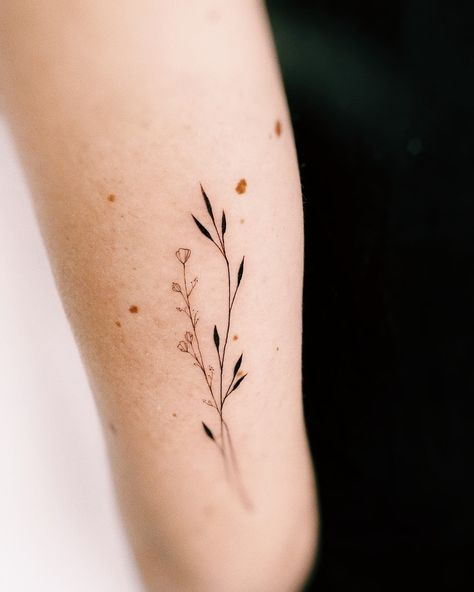 Fine Line Greenery Tattoo, Stem Tattoo Leaves, Minimal Botanical Tattoo, Fineline Botanical Tattoo, Forearm Tattoo Women Minimalist, Fine Art Tattoo Minimalist, Minimal Arm Tattoos For Women, Botanical Tattoo Minimalist, Minimal Nature Tattoo