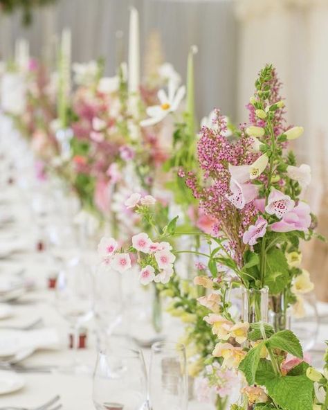 Lucy Vail Floristry, on Instagram: "A meadow of dancing British flowers running down the tables in @felicity.reid.designs wedding. What more could you want? Happy Monday 🌸" British Flowers, Meadow Flowers, Special Dinner, Flower Ideas, Wedding Flower, Bud Vases, Happy Monday, Wedding Table, Instagram A