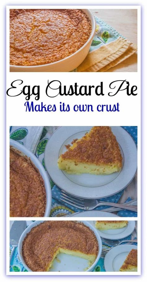 Egg Custard Pie. A one bowl egg custard pie that makes its own crust. Egg Custard Pie Recipe, Eggless Custard, Egg Custard Pie, Custard Pie Recipe, Egg Pie, Egg Custard, Custard Recipes, Friends Food, Custard Pie