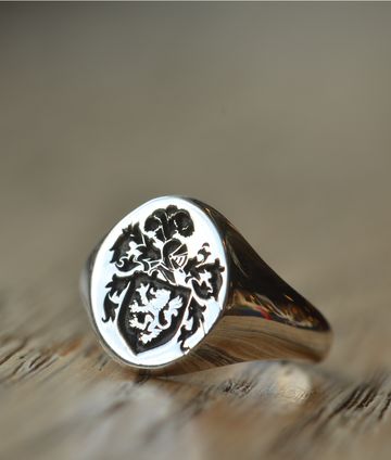 Family Signet Ring, Family Crest Rings, Family Crests, Family Rings, Dark Magic, College Logo, Silver Signet Ring, Minimalist Designs, Gold Signet Ring