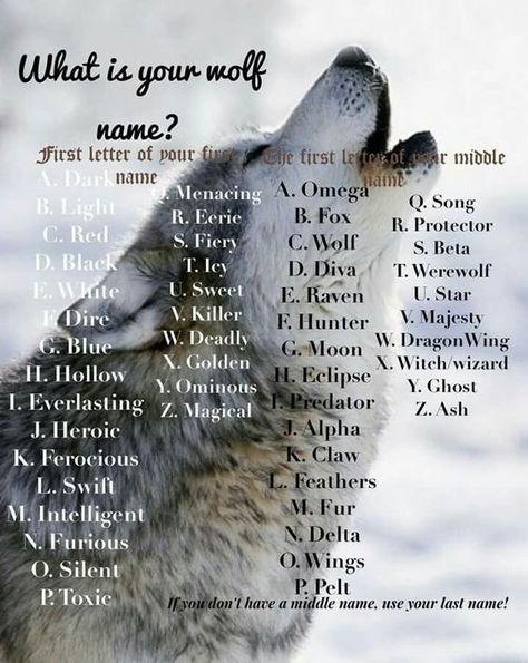 What is your wolf name? – Witches Of The Craft® Your Wolf Name, Funny Name Generator, Birthday Scenario, Lone Wolf Quotes, Unicorn Names, Wolf Stuff, Fantasy Names, Wolf Quotes, Wolf Spirit Animal