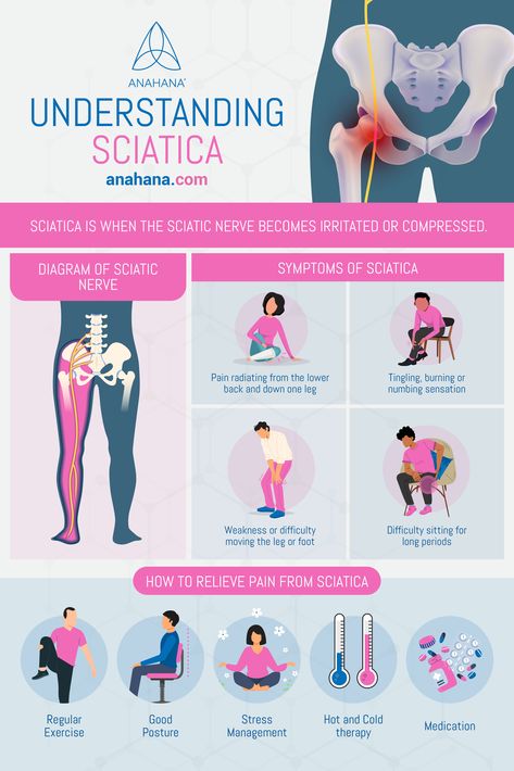 Learn abut Sciatica Signs, Symptoms, and Treatments Physical Therapy Quotes, Nerve Pain Remedies, Physio Clinic, Sciatica Symptoms, Spinal Surgery, Piriformis Syndrome, Nerve Health, Sports Therapy, Physiotherapy Clinic