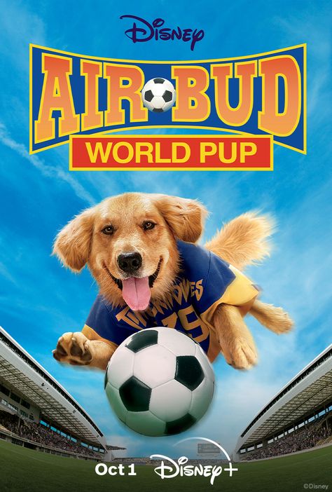 Air Bud Movie Collection Coming to Disney+ in October Air Buddies Movies, Childhood Films, Kevin Zegers, Air Bud, Walt Disney Movies, Disney Presents, Dog Movies, Goofy Movie, Disney Live Action