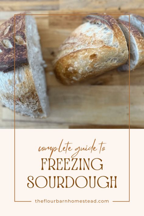 Complete guide to Freezing Sourdough Bread Freezing Bread, Homestead Recipes, How To Store Bread, Cake Dome, Sourdough Baking, Pull Apart Bread, Bread Bags, Raspberry Cheesecake, Reduce Food Waste