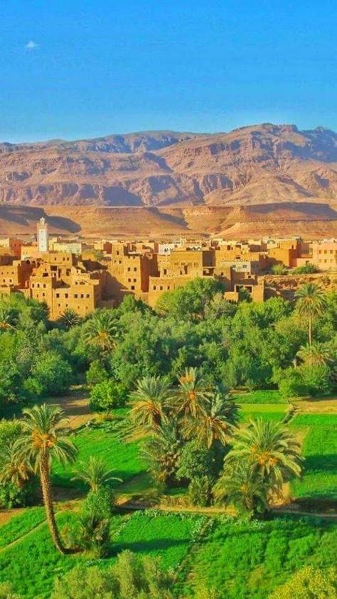 Tinghir Desert Cities, Morocco Tours, Visit Morocco, Amazing Gifs, Desert Life, Hand Design, Morocco Travel, In The Desert, North Africa