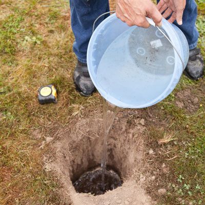 Bog Gardens, Drainage Ideas, Rain Garden Design, Grass Landscaping, Natural Filter, Landscape Drainage, Rain Gardens, Rain Harvesting, Storm Water