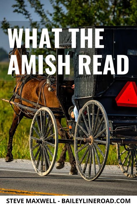 Interesting Cultures, Amish Books Fiction, Amish Farmhouse, Amish Butter, Amish Market, Amish Lifestyle, Amish Books, Amish House, Amish Culture