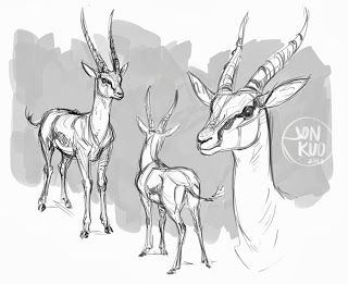 gazelle studies ✤ || CHARACTER DESIGN REFERENCES | キャラクターデザイン | çizgi film • Gazelle Character Design, Cartoon Drawings Of People, Cartoon Drawings Disney, Cartoon Drawing Tutorial, Animal Study, Creature Drawings, Desenho Tattoo, Animals Artwork, Character Design Animation