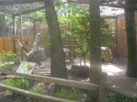 Red Fox exhibit - ZooChat Fox Enclosure, Fox Habitat, Zoo Boo, Zoo Inspiration, Red Fox, Habitat, Gift Shop, Google Images, Planets