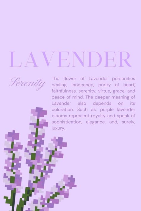 Lavender Meaning Flower, Soft Purple Aesthetic Vintage, Lavender Pixel Art, Soft Lavender Aesthetic Wallpaper, Lavender Bouquet Aesthetic, Aesthetic Lavender Flowers, Lavender Flowers Aesthetic, Lavender Aesthetic Flower, Lavender Flowers Wallpaper