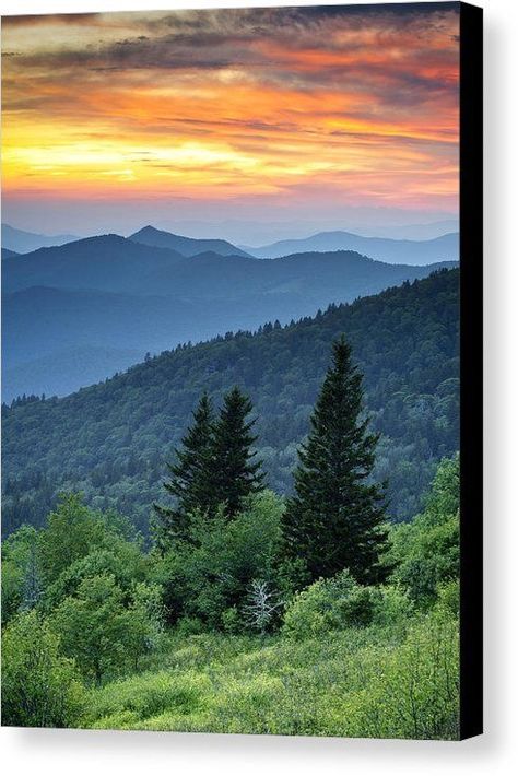 Dave Allen, Nc Mountains, Great Smoky Mountains National Park, Blue Ridge Parkway, Smoky Mountain National Park, Blue Ridge Mountains, Alam Yang Indah, Great Smoky Mountains, Smoky Mountains