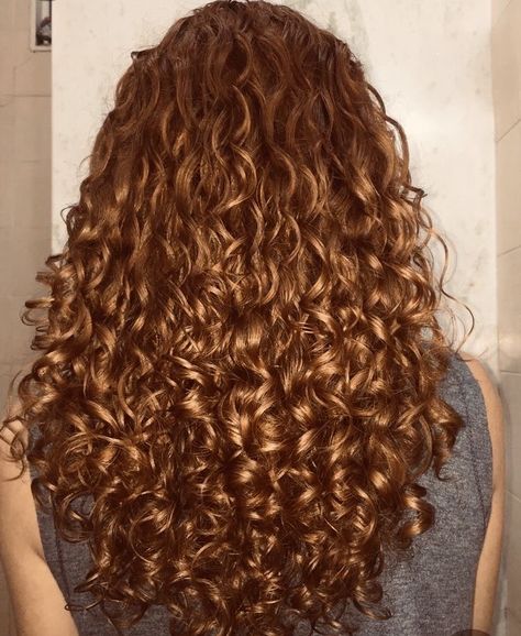 Strawberry Blonde Curly, Nikki Hairstyles, 3b Curly Hair, 3a Hair, Curly Nikki, 3b Hair, Honey Hair Color, Strawberry Blonde Hair Color, Hair Color Caramel