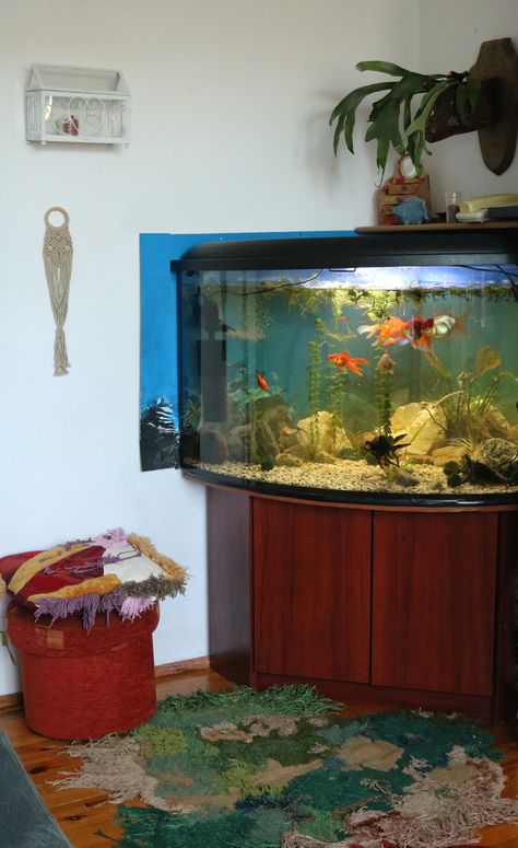 #room #little room #fishtank #greens #interior #goldfish #aquarium Fairy Interior, Goldfish Aquarium, Goldfish, Fish Tank, Fish, Quick Saves