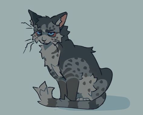 Warrior Cat Designs, Aesthetic Characters, Character Design Art, Warrior Cats Comics, Characters Drawing, Warrior Cats Series, Warrior Cats Books, Warrior Cats Fan Art, Warrior Cat Drawings