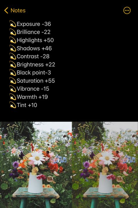 Apple Editing Presets, Photo Editing Apple Photos, Flower Photo Edit Iphone, Retro Photo Edit Iphone, Apple Photos Edit, Nature Picture Editing, Apple Photos Presets, Dreamy Iphone Edit, How To Edit Flower Photos