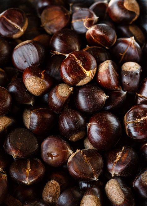 Nut Photography, Chestnut Recipes, White Chestnut, Chestnut Tree, Sweet Chestnut, Water Rafting, Roasted Chestnuts, Winter Comfort Food, Chestnut Trees