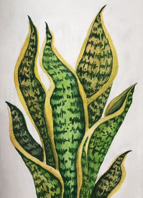 Plants Mural Painting, Flower Tropical Drawing, Plant Drawing Colored Pencil, Diy Plant Mural, Plants Aesthetic Painting, Botanical Garden Drawing, Tropical Foliage Plants, Green World Drawing, Snake Plant Drawing