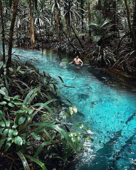 Abel Tasman National Park, Rotorua New Zealand, Lake Wanaka, Hot Pools, New Zealand Landscape, Labuan, Sailing Adventures, Air Terjun, Rotorua