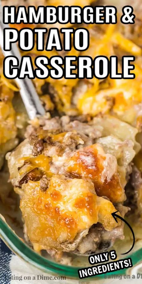 Hamburger Potato Casserole Recipe has everything you need for a great meal. Lots of creamy potatoes and hearty beef make this a hit. Hamburger And Potato Casserole, Best Hamburger Casserole Recipes, Easy Hamburger Casserole, Hamburger Potato Casserole, Recipes Hamburger, Creamy Potatoes, Hamburger Casseroles Recipes, Hamburger Dishes, Chicken Honey